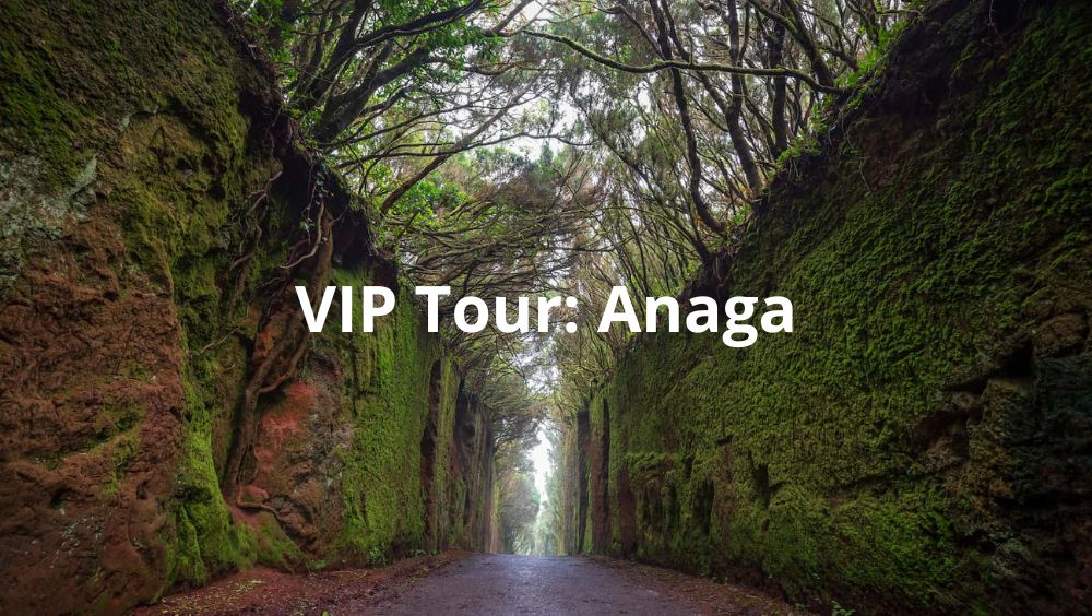 VIP Tour Anaga